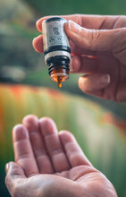 Load image into Gallery viewer, Cacao Fragrance Oil